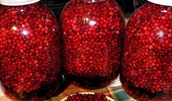 Консервация брусничных ягод является популярным вариантом хранения