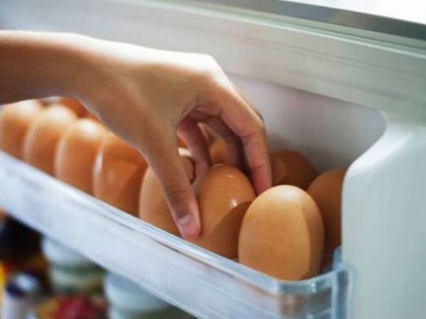 Максимальная продолжительность сохранности свежего продукта в холодильном оборудовании – до 35-40 суток